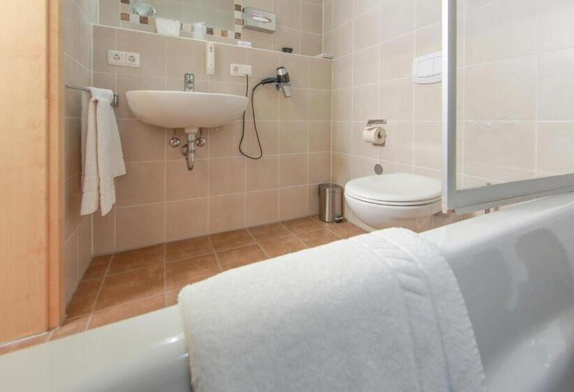 Номер Стандарт Индивидуальный, Aalener Römerhotel Awl