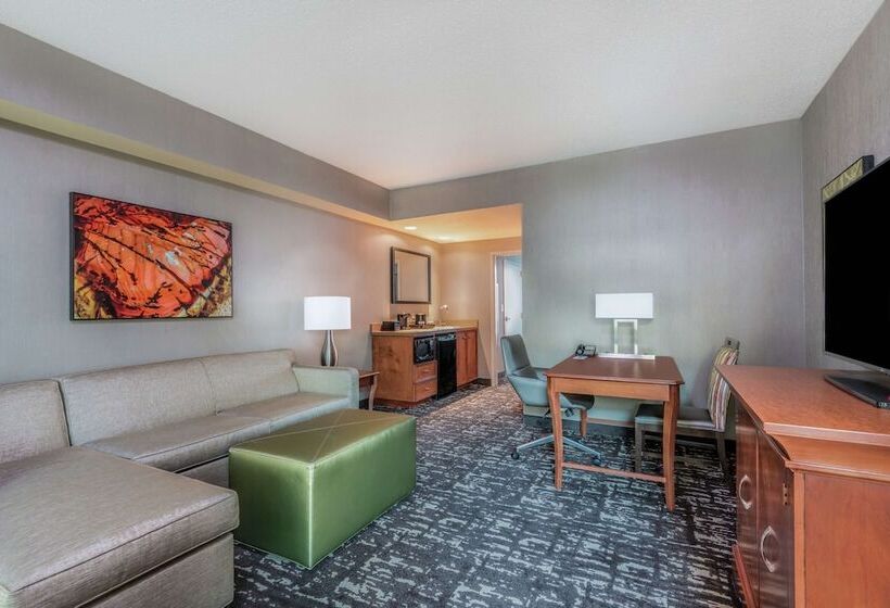 프리미엄 스위트, Embassy Suites By Hilton St. Louis St. Charles