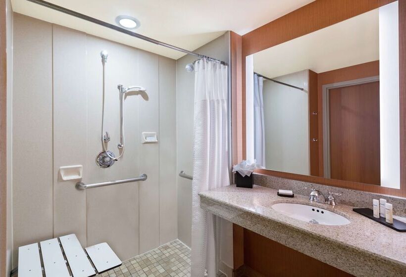 프리미엄 스위트, Embassy Suites By Hilton St. Louis St. Charles