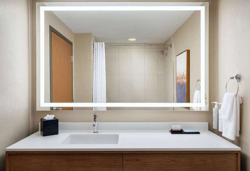 스위트 킹사이즈 침대, Embassy Suites By Hilton St. Louis St. Charles