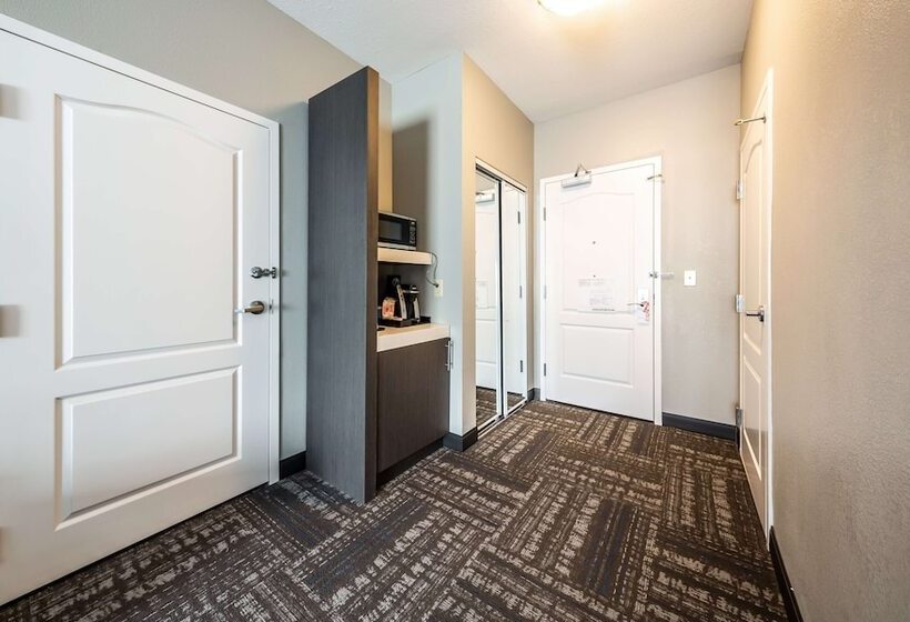 장애인을 위한 스탠다드 룸, Hilton Garden Inn Beaumont, Tx