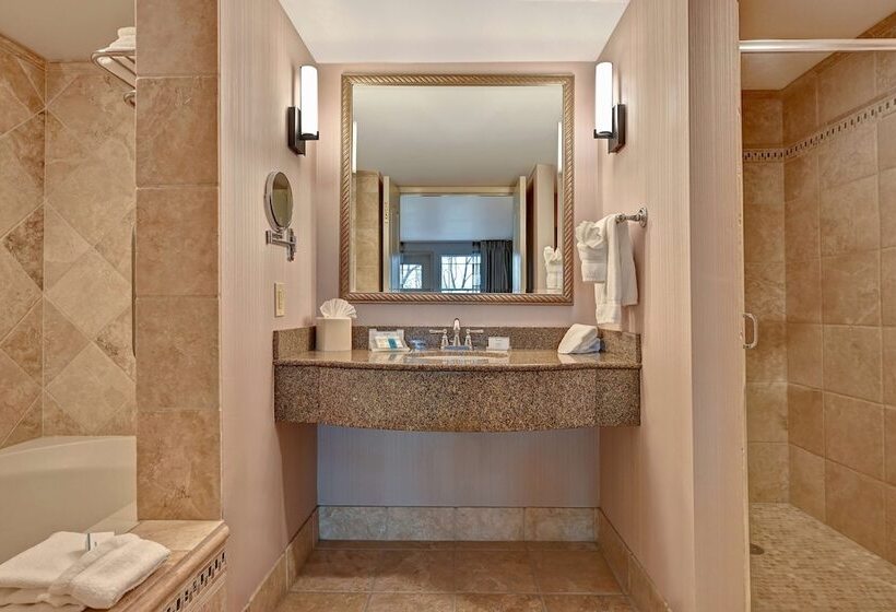 Люкс, Hilton Garden Inn Boise/eagle