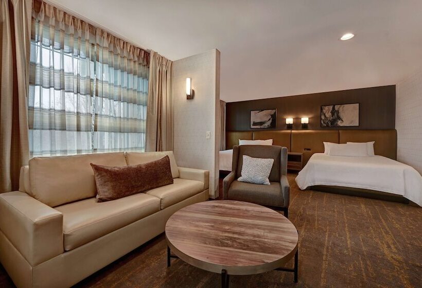 Полулюкс, Hilton Garden Inn Boise/eagle