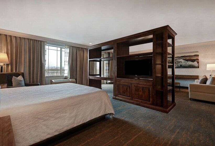 Люкс с гидромассажем, Hilton Garden Inn Boise/eagle