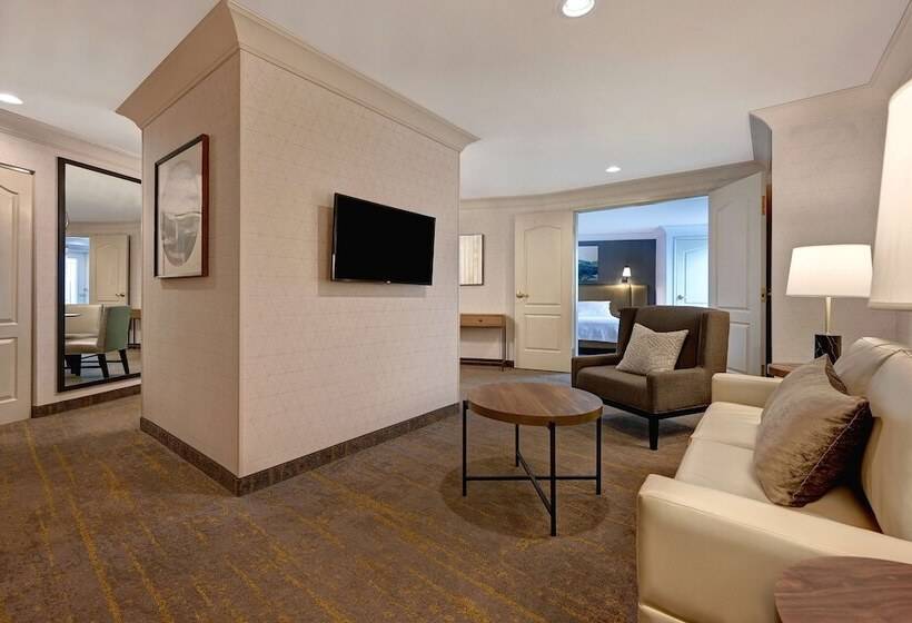 Люкс, Hilton Garden Inn Boise/eagle