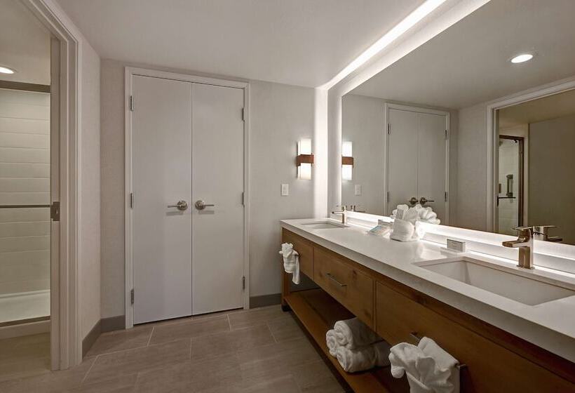 Люкс, Hilton Garden Inn Boise/eagle