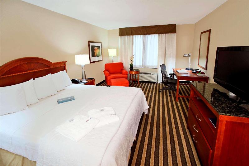 Стандартный Номер Кровать Кинг, Hilton Garden Inn Fort Lauderdale Airport Cruise Port