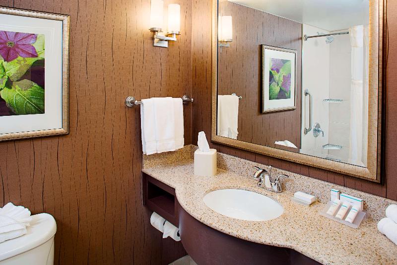 Стандартный Номер Кровать Кинг, Hilton Garden Inn Hartford North/bradley Int L Airport