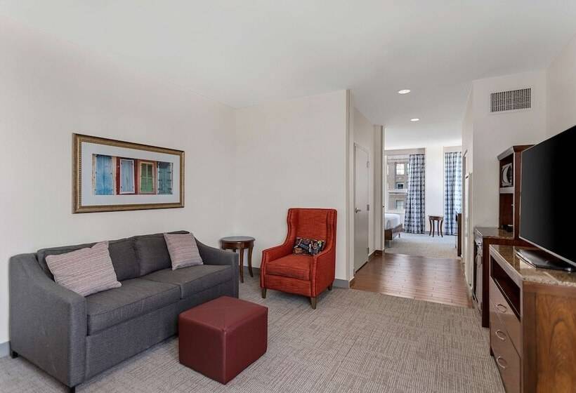 Люкс Адаптированный для Инвалидов, Hilton Garden Inn New Orleans French Quarter/cbd