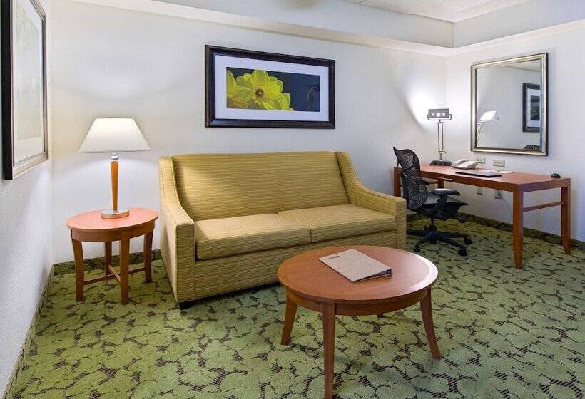 スイート, Hilton Garden Inn Tallahassee Central