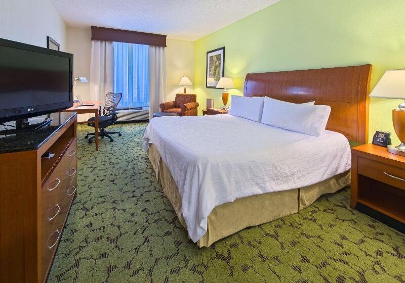 キングサイズベッドのスタンダードルーム, Hilton Garden Inn Tallahassee Central