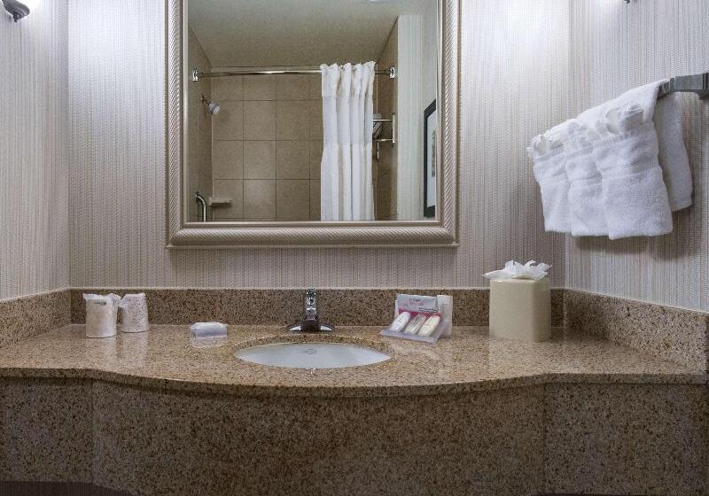 キングサイズベッドのスタンダードルーム, Hilton Garden Inn Tallahassee Central