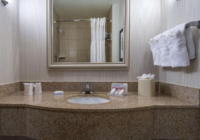 プレミアムルーム, Hilton Garden Inn Tallahassee Central