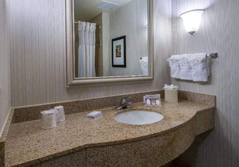 キングサイズベッドのスタンダードルーム, Hilton Garden Inn Tallahassee Central