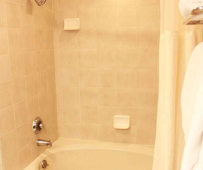 اتاق استاندارد با 2 تخت دوبل, Riverside Hotel, Bw Premier Collection