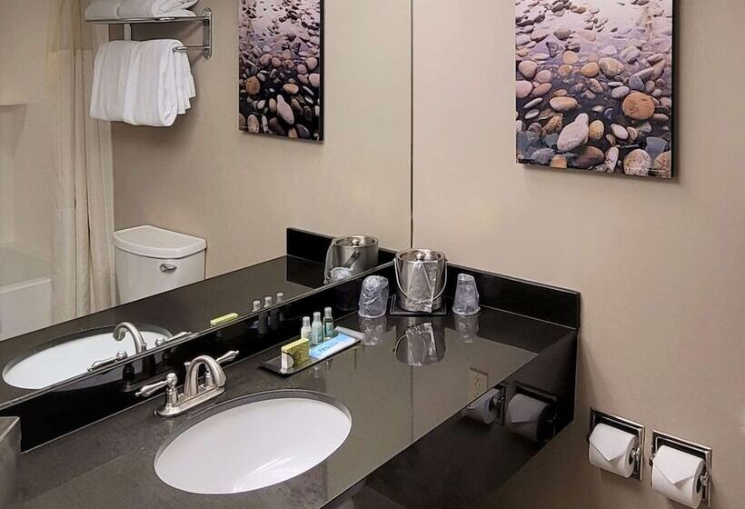 اتاق استاندارد با تخت دوبل, Riverside Hotel, Bw Premier Collection