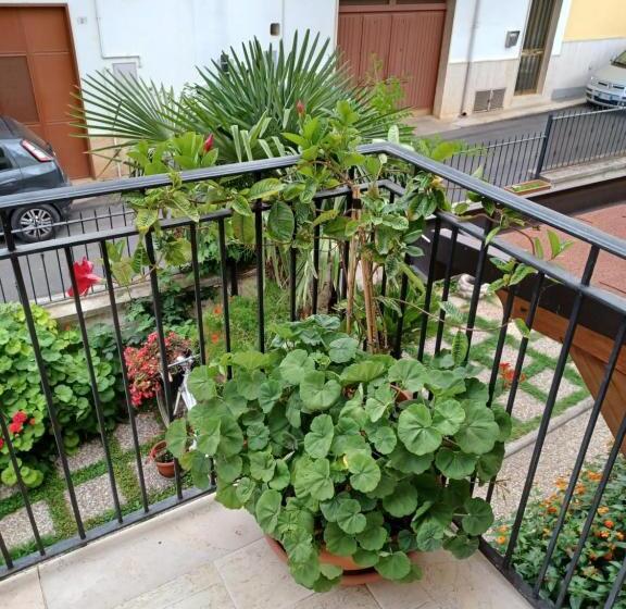 Номер Стандарт, La Neviera