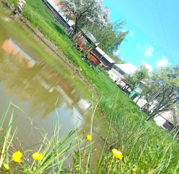 اتاق استاندارد, Room In Guest Room   Sejour In Green Garden With Lake View For 2 People
