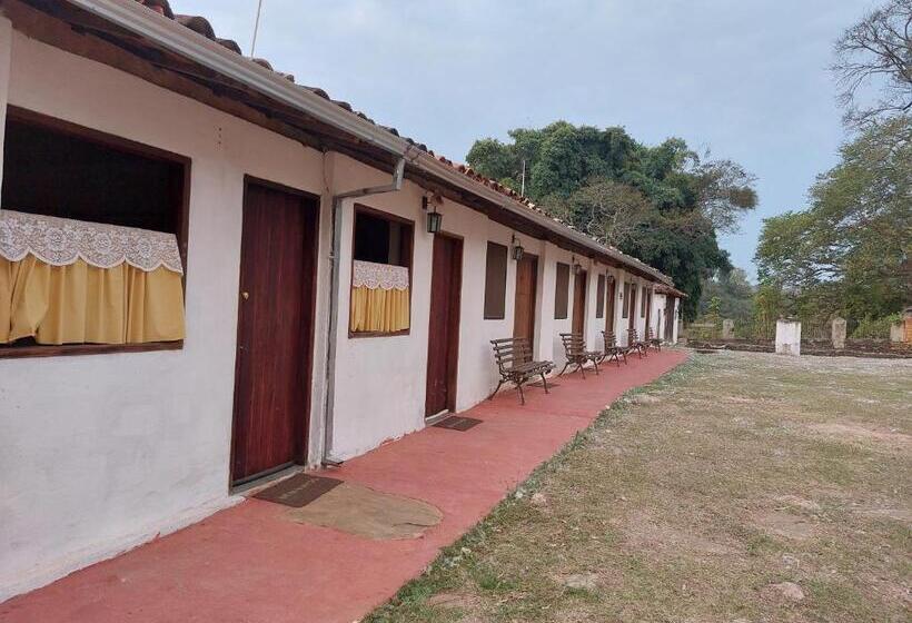 Номер Стандарт, Fazenda Da Roseta   Turismo Rural E Passeios A Cavalo