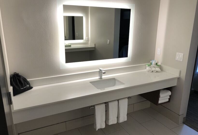 Номер Стандарт, Holiday Inn Express Hotel & Suites Auburn   University Area, An Ihg
