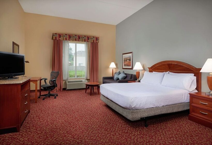 Номер Стандарт Кровать Кинг Адаптированный для Инвалидов, Hilton Garden Inn Newport News