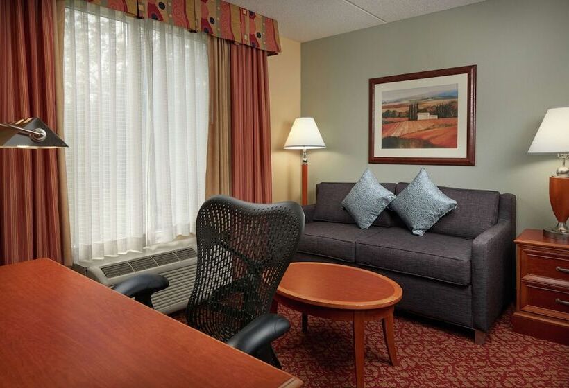 Стандартный Номер Кровать Кинг, Hilton Garden Inn Newport News