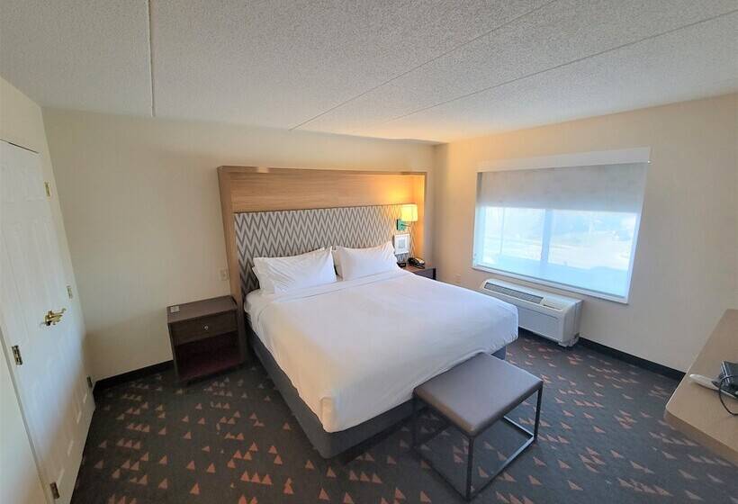 장애인을 위한 스위트, Holiday Inn & Suites Ann Arbor Univ Michigan Area By Ihg