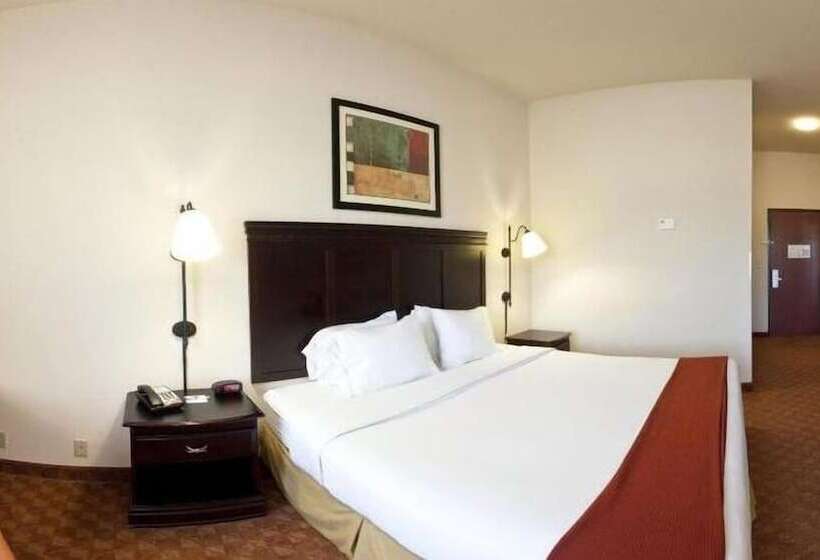 Süit, Holiday Inn Express Hotel And Suites Athens, An Ihg
