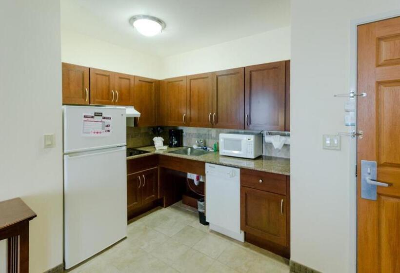 Monolocale Standard, Staybridge Suites Austin Airport, An Ihg