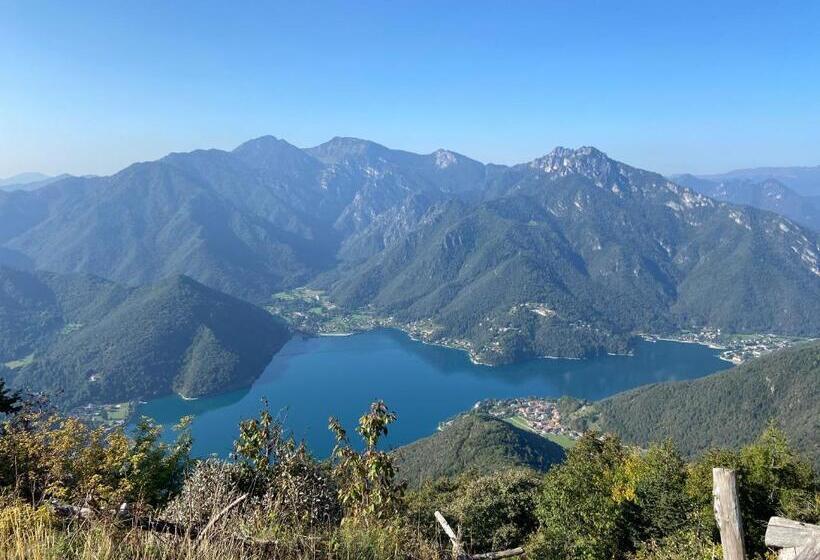 스위트, Tulipa Natural Home