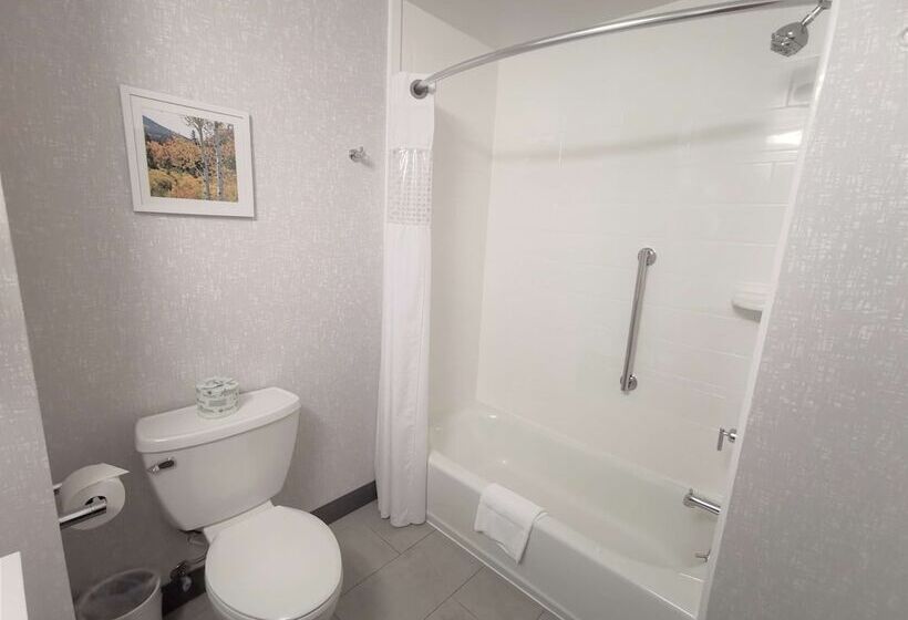 スタンダードルーム, Hampton Inn & Suites Colorado Springs/air Force Academy