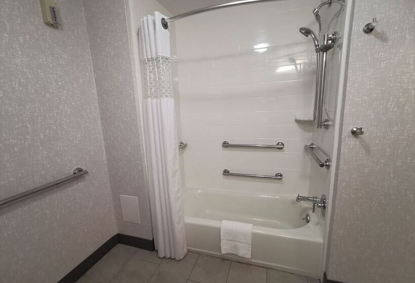 身障者適用スイートルーム, Hampton Inn & Suites Colorado Springs/air Force Academy