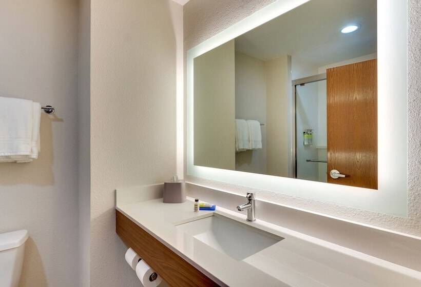 Suite, Holiday Inn Express Lake Worth Nw Loop 820, An Ihg
