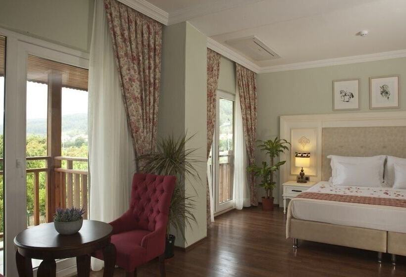 Номер Deluxe, Padok Premium Hotel And Stables