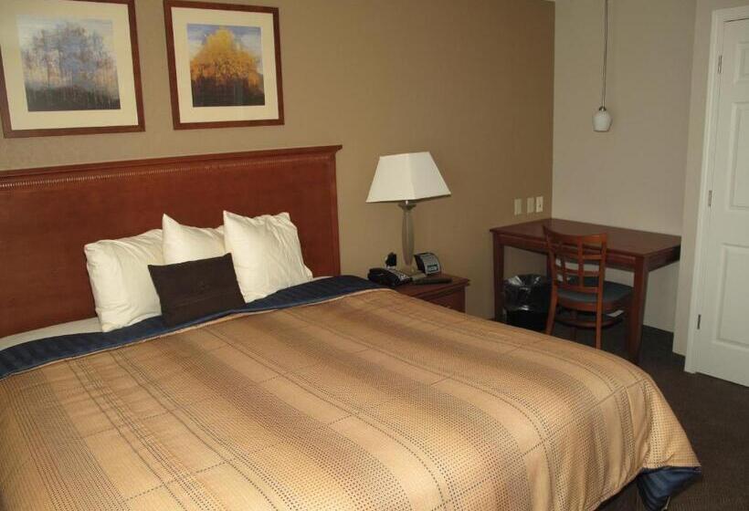 キングサイドベッドのスタンダードワンルーム, Candlewood Suites Elgin – Northwest Chicago, An Ihg