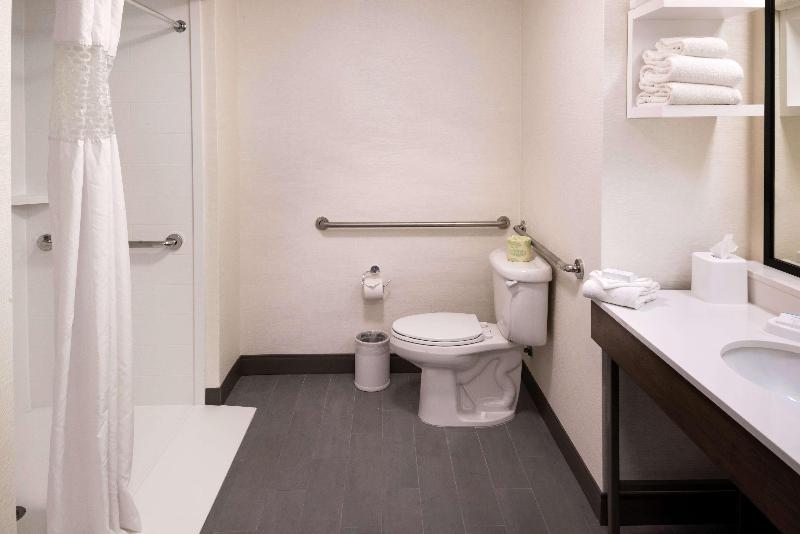 带大床的标准间, Hampton Inn & Suites Carson City