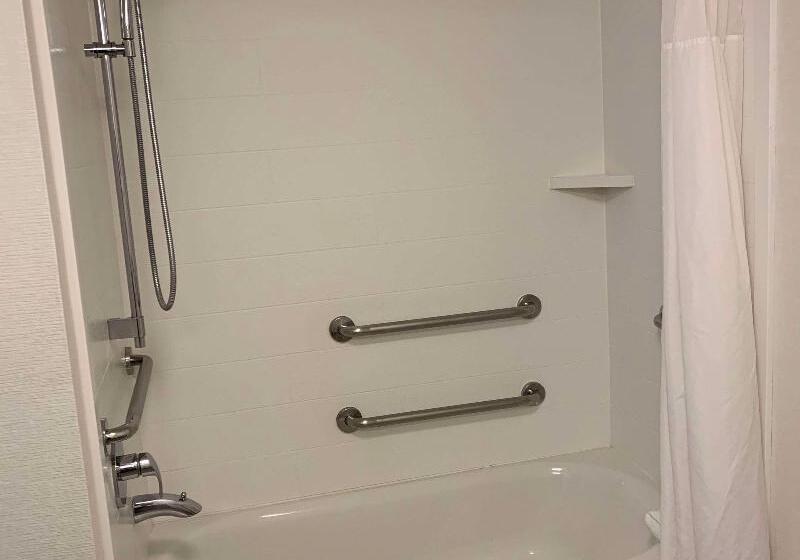 带大床的标准间, Hampton Inn & Suites Carson City