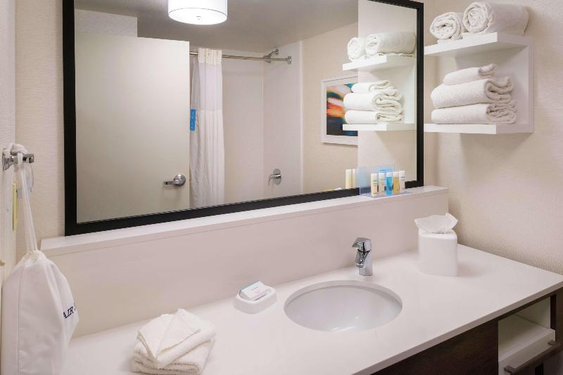 带大床的套房, Hampton Inn & Suites Carson City