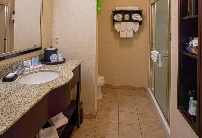 Номер Стандарт, Hampton Inn & Suites Sacramentoelk Grove Laguna I5