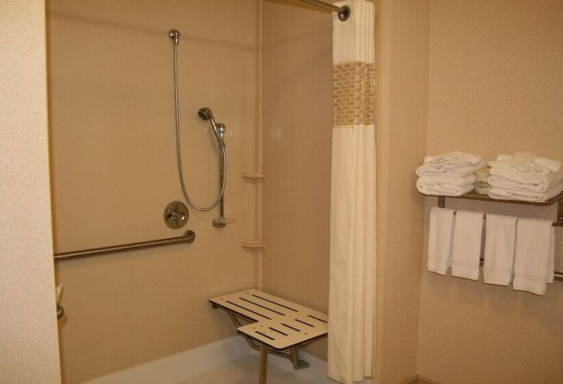 Номер Стандарт Кровать Кинг Адаптированный для Инвалидов, Hampton Inn & Suites Sacramentoelk Grove Laguna I5