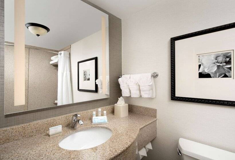 מיטת קינג בסוויטה, Hilton Garden Inn Atlanta West/lithia Springs