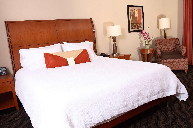 Стандартный Номер Кровать Кинг, Hilton Garden Inn Chesapeake/suffolk