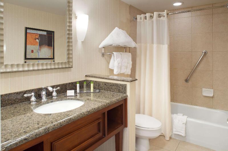 Стандартный Номер Кровать Кинг, Hilton Garden Inn Chesapeake/suffolk
