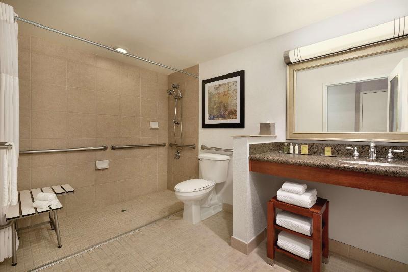 스탠다드 룸 킹사이즈 침대, Hilton Garden Inn Chesapeake/suffolk