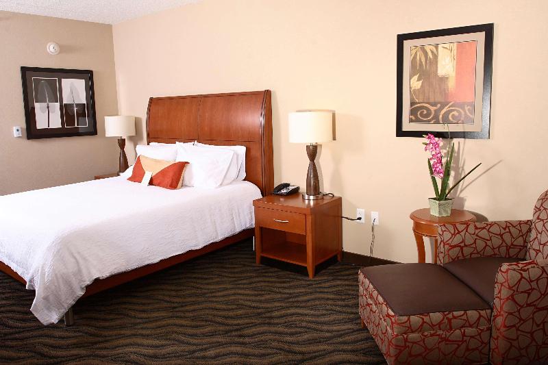 프리미엄 룸, Hilton Garden Inn Chesapeake/suffolk