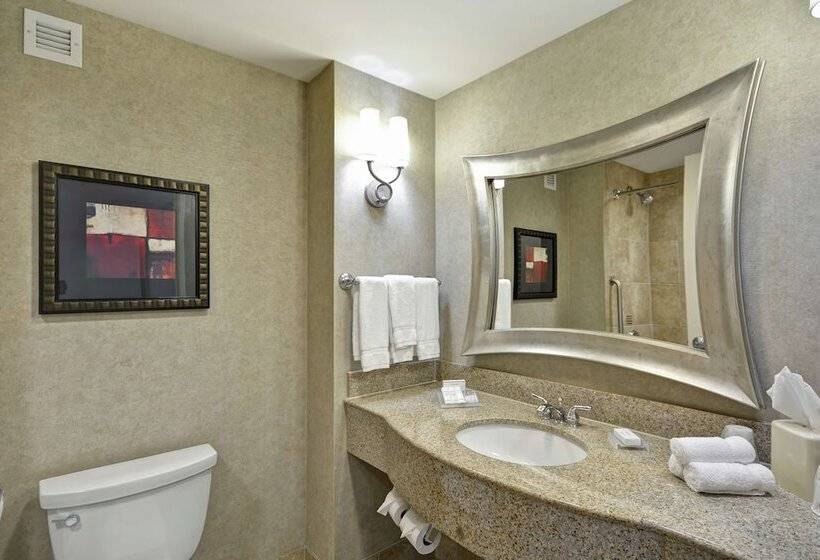 Номер Стандарт, Hilton Garden Inn Toledo Perrysburg