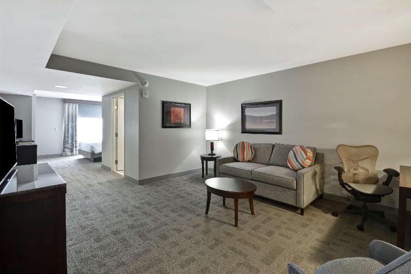 Полулюкс Кровать Кинг, Hilton Garden Inn Toledo Perrysburg