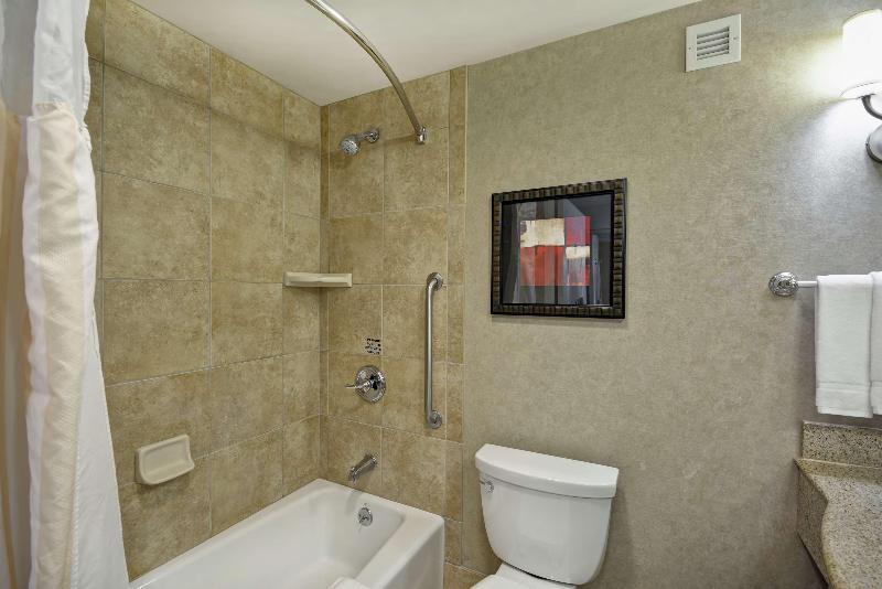 Полулюкс Кровать Кинг, Hilton Garden Inn Toledo Perrysburg