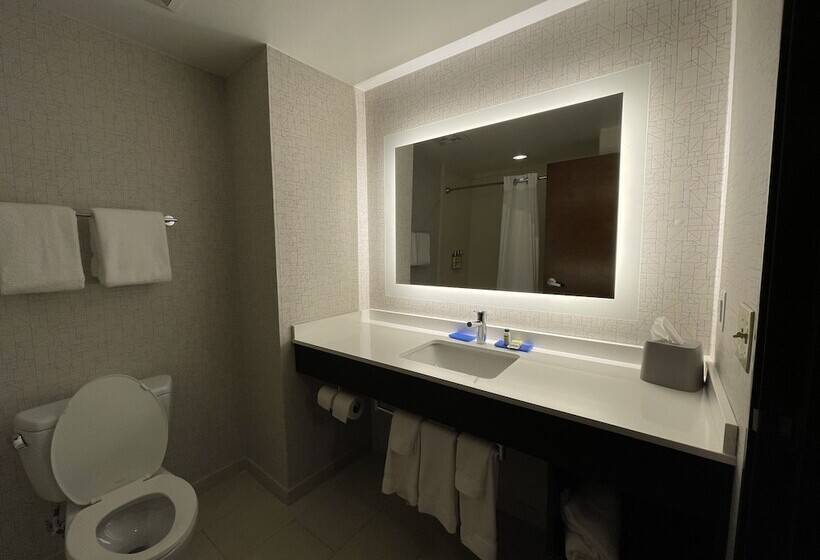适合残疾人士使用的套间, Holiday Inn Express & Suites Columbia   East Elkridge, Jessup An Ihg