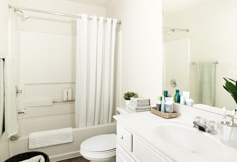 Студия Стандарт, Intown Suites Extended Stay Norfolk Va